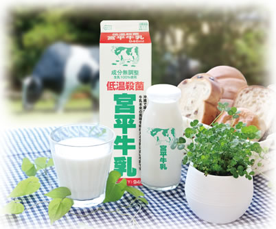 低温殺菌牛乳について 株式会社宮平乳業 自然の恵みいっぱいに受けた健康な牛から生産された牛乳です