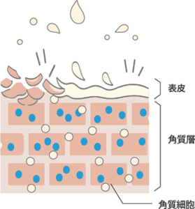 whey_M_explanation-ill