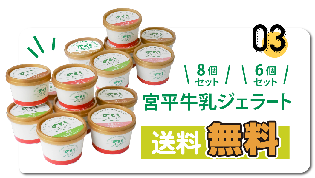 3_送料無料1 送料無料1