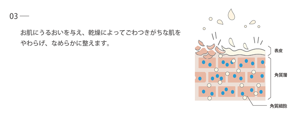 w3 whey_explanation3